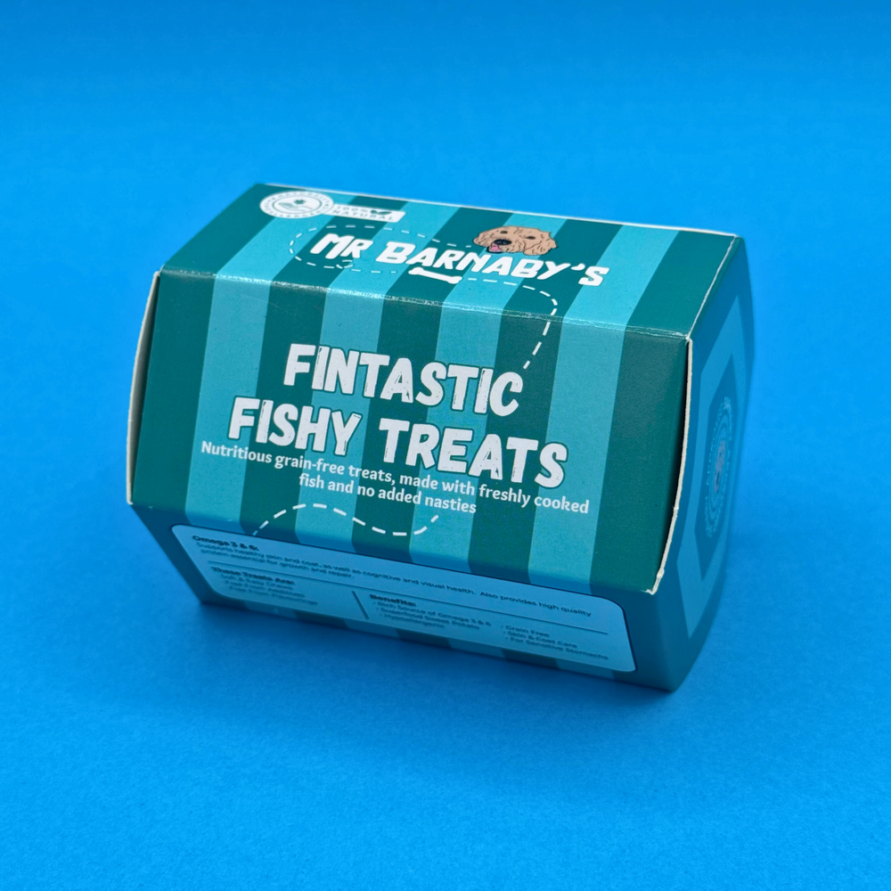 Fintastic Fishy Treats (100g)