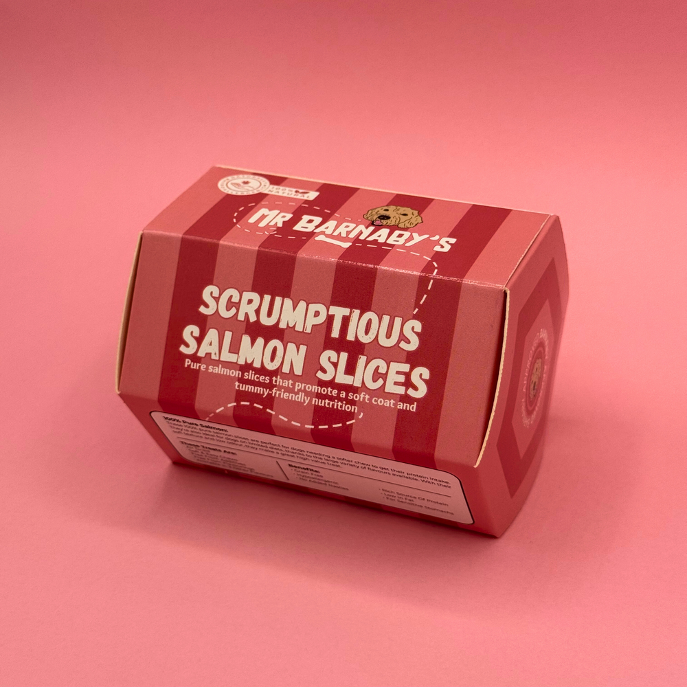 Scrumptious Salmon Slices Dog Treats (125g)