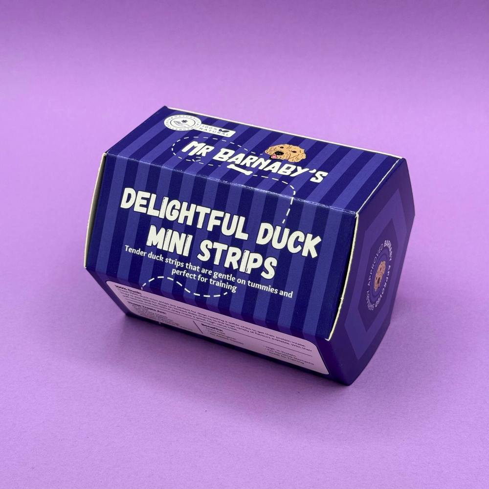 Delightful Duck Mini Strips (100g)