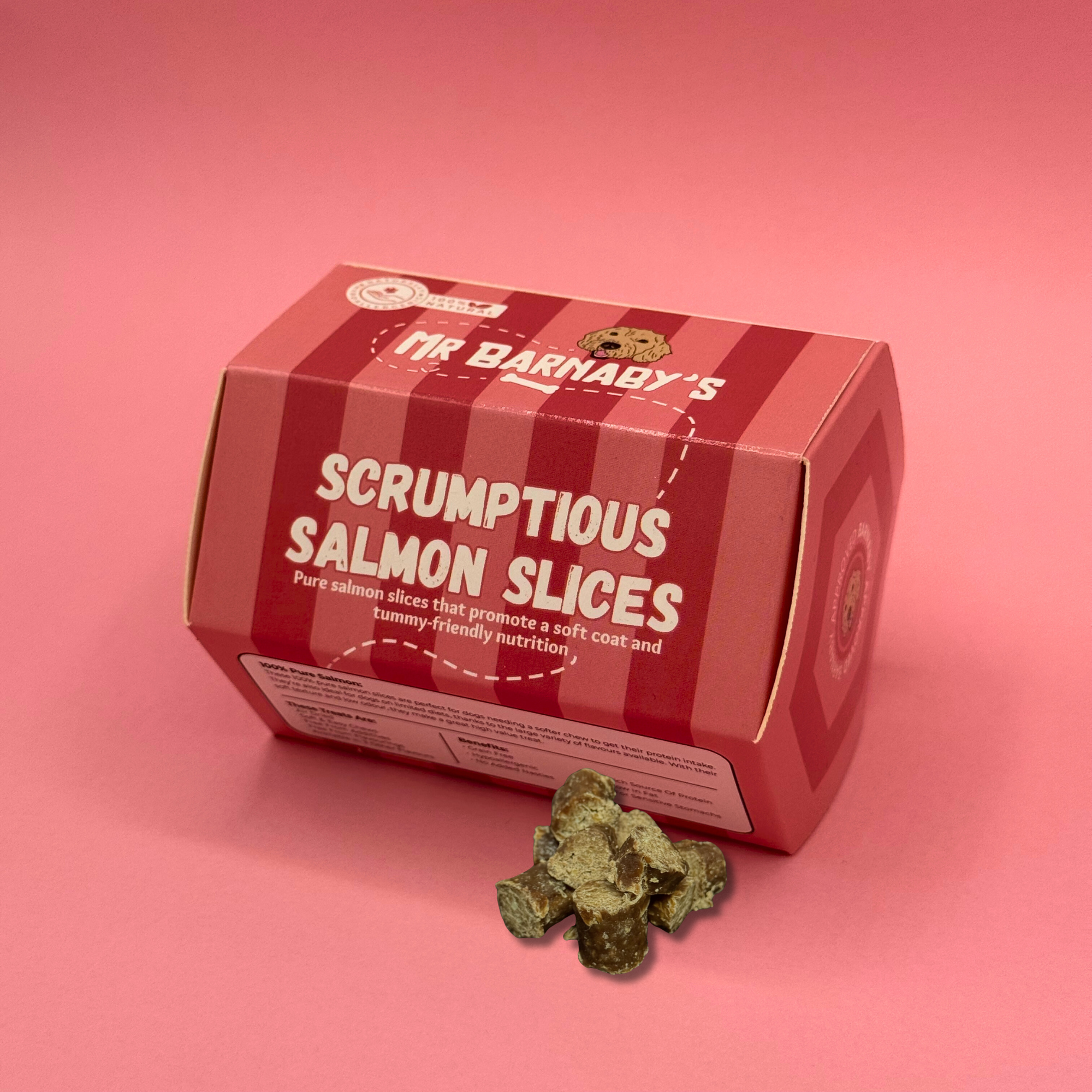 Scrumptious Salmon Slices Dog Treats (125g)