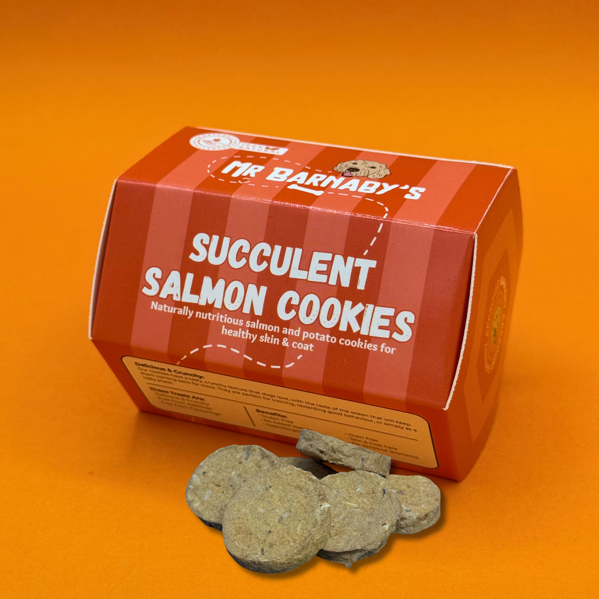 Succulent Salmon Cookies (80g)